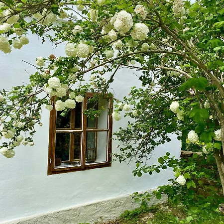 Feriehus Stylove Romanticka Venkovska Mlynske Struhadlo